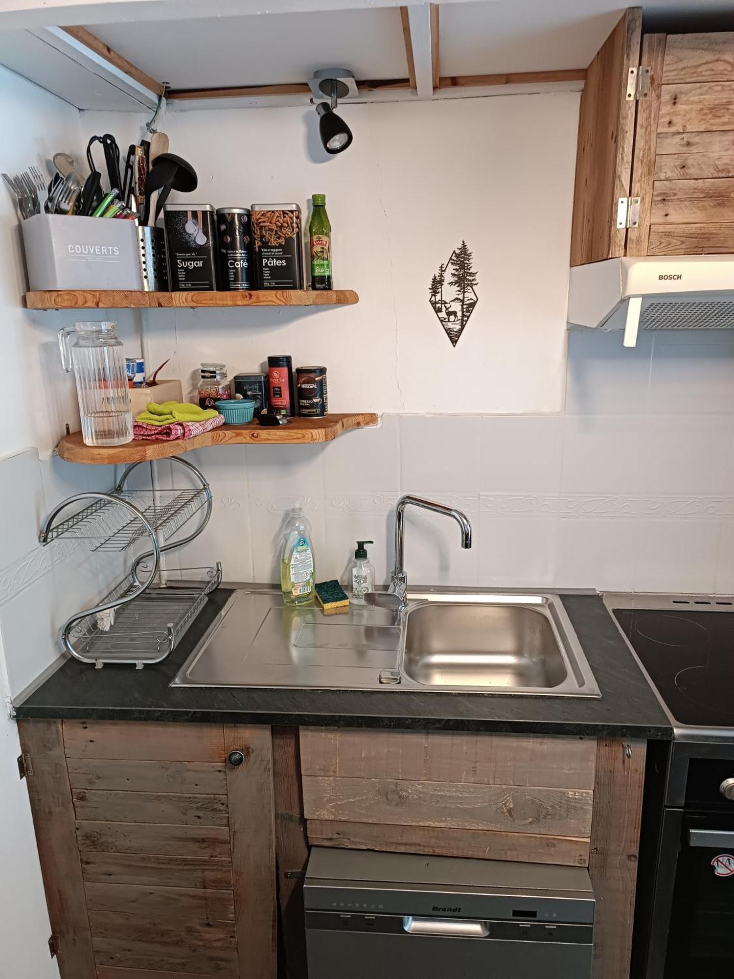 Duplex Argentière, 50m2, 6 pers, idéalement placé Chamonix Extérieur photo
